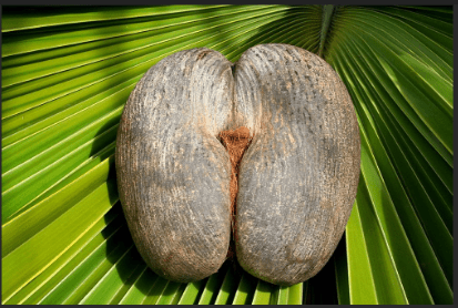 Have I got a hole in my&nbsp;bum?