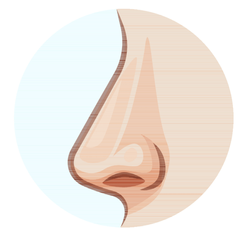 Why do you have such a big&nbsp;nose?