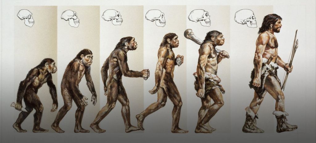 Homo sapiens going from a private to a human.