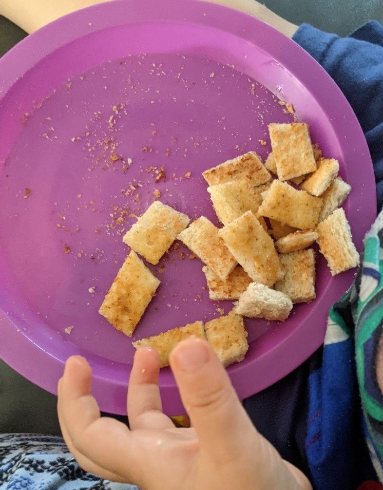 A purple plate with small pieces of toast on
