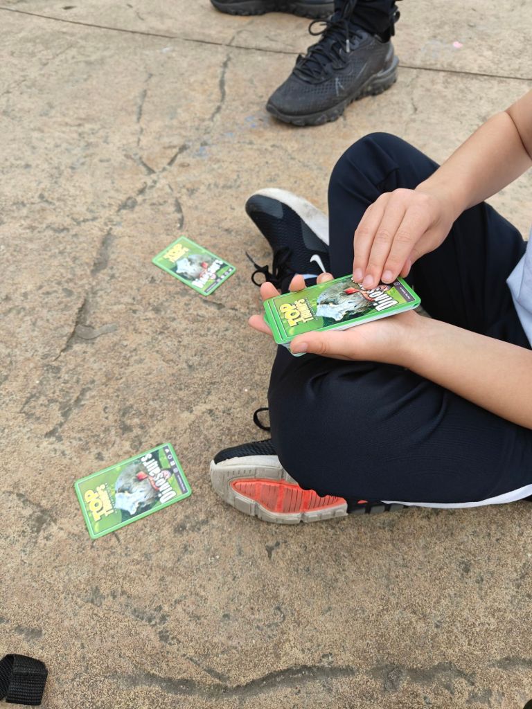 A boy sat on the floor playing dinosaur top trumps